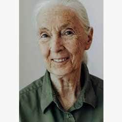 Jane Goodall