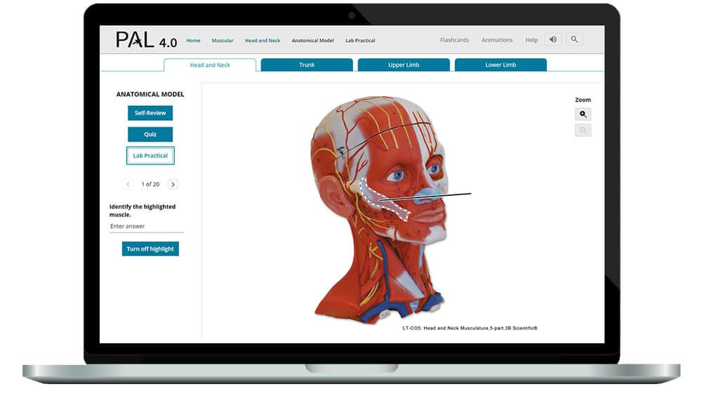 Digital Anatomy Lab from Pearson