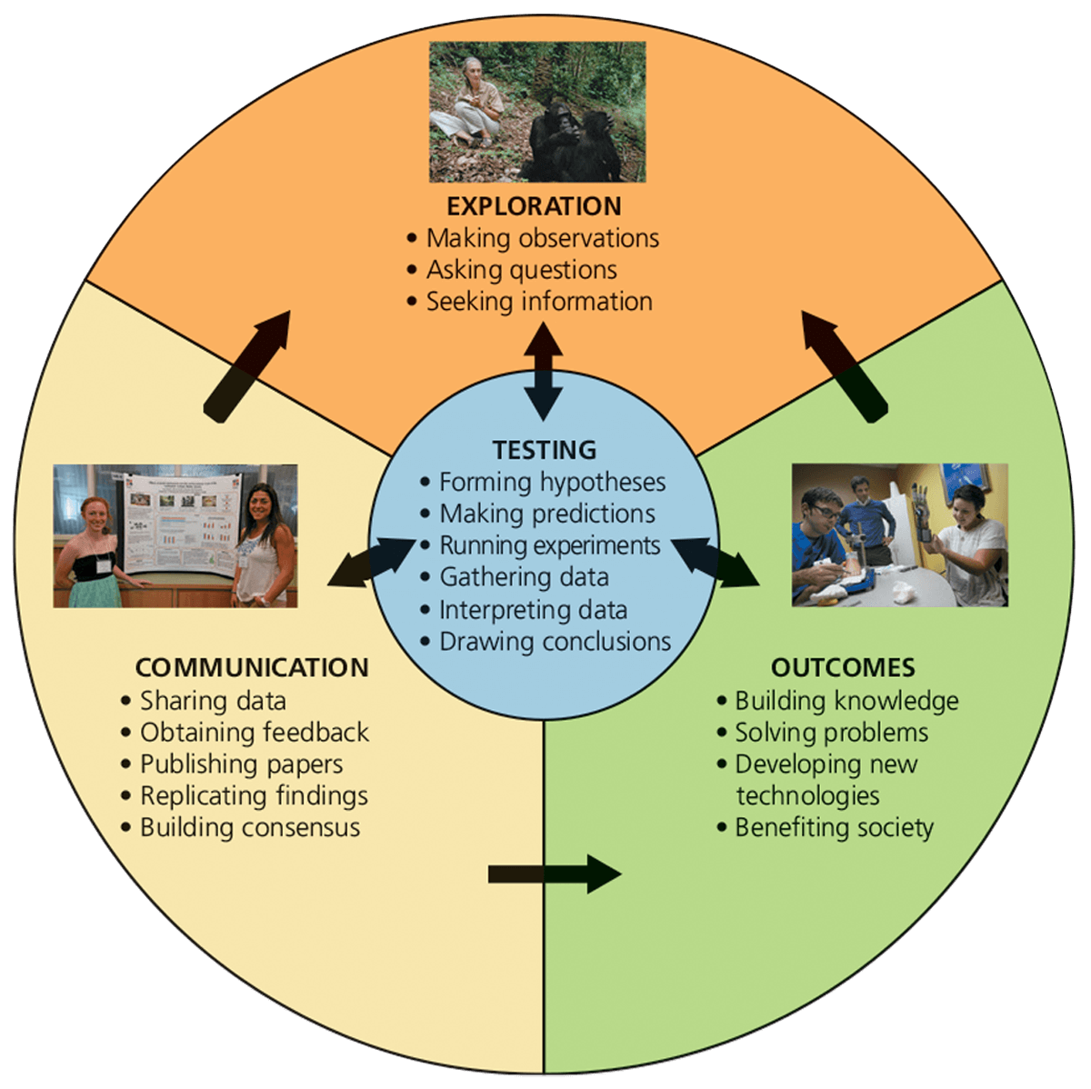 Circle diagram showing testing, exploration, outcomes, and communication