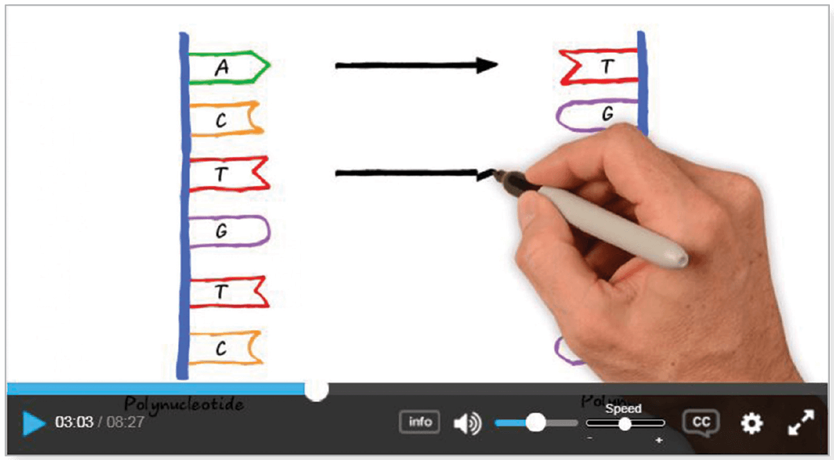 Example video showing hand drawn diagram